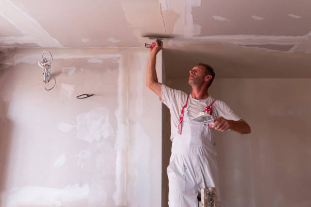 Best Water-Damaged Drywall Repair  in De Witt, NY